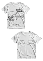 **PRE-ORDER** CREATION OF ADAM